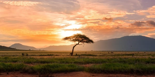 멀시핸즈 매일묵상 💜 나에겐, 오직 한가지 예수님뿐!