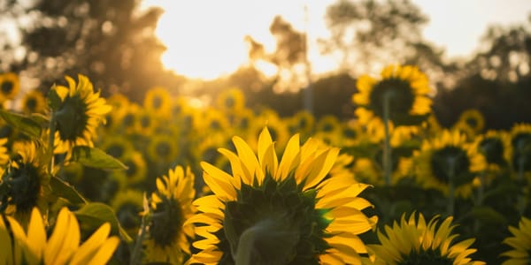 멀시핸즈 매일묵상 💜 "예수님만 바라보자"